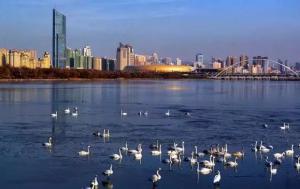 三門峽又一網(wǎng)紅景點(diǎn)，確定不來(lái)pick一下？