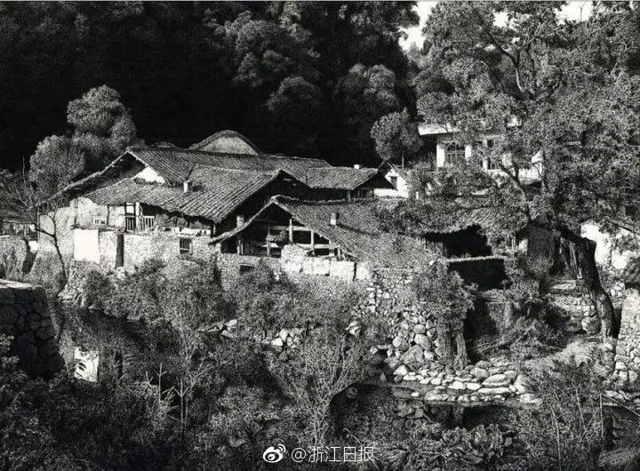 體現(xiàn)欠安！歐文在綠軍主場僅得16分