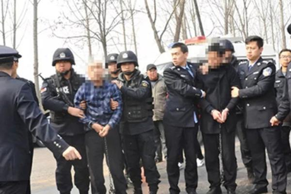 詩篇變幻女武神 《安閑西游》新同伴戰(zhàn)靈7月3日上臺