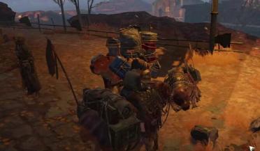 國家生豬工業(yè)技能系統(tǒng)崗位科學家劉娣：做畜牧研討范疇的拓荒者與攻堅者