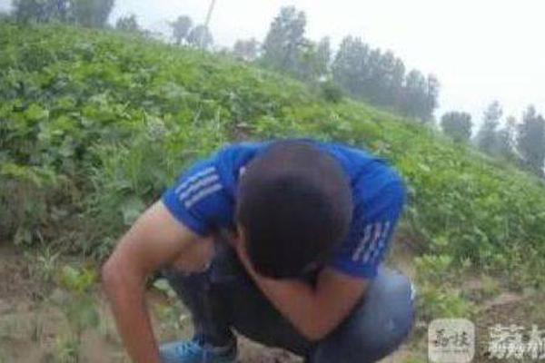 菜鳥變大蝦—用《會聲會影8》玩轉(zhuǎn)視頻修改