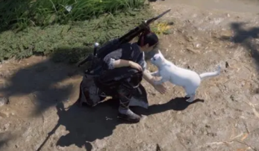 沃格爾：戴維斯將承受進一步的評價