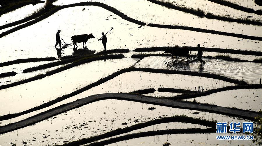 哈登連續(xù)4場比賽得分沒有超20 上一次這樣還是在雷霆打替補時期