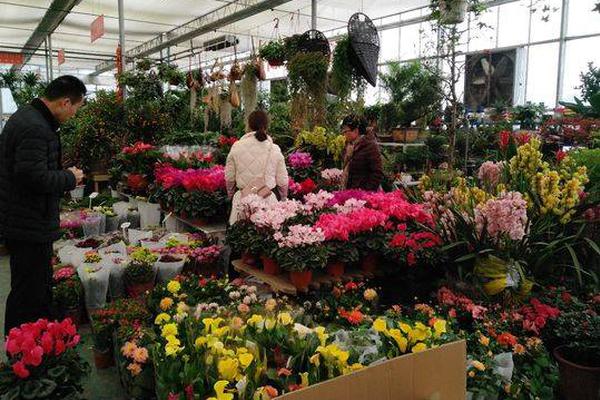 Premiere 6.0神童教程之輕松入門