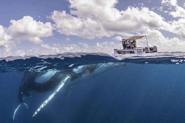 NBA常規(guī)賽進入結(jié)尾 東西部仍暗流涌動  終究誰能笑到最后