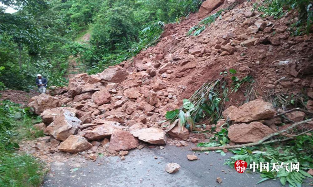 自在運用恣意人物的戰(zhàn)棋對立手游引薦 能夠提高人物好感度約會