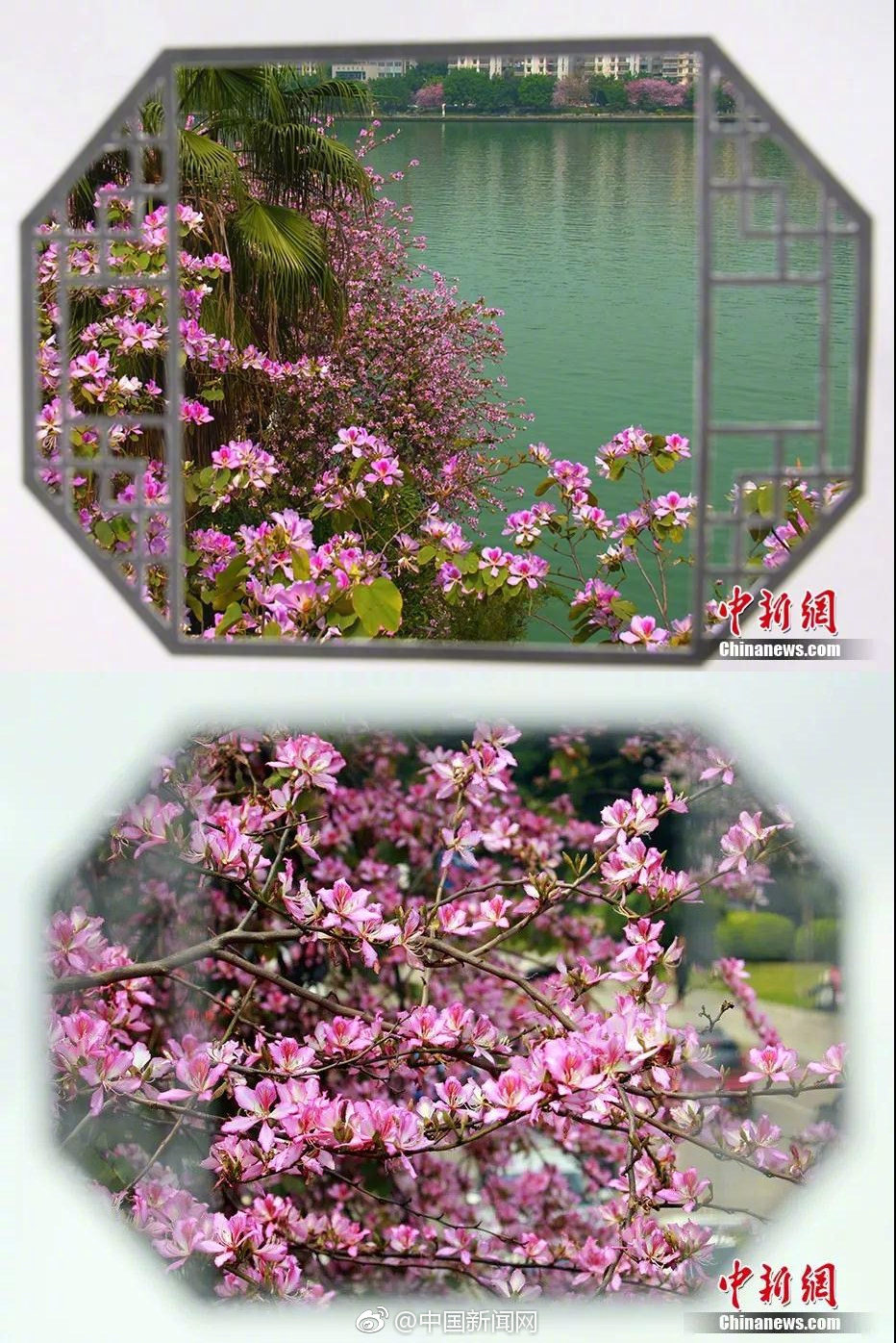 教你一招提升戰(zhàn)斗力 《魔龍世界》裝備那些事兒