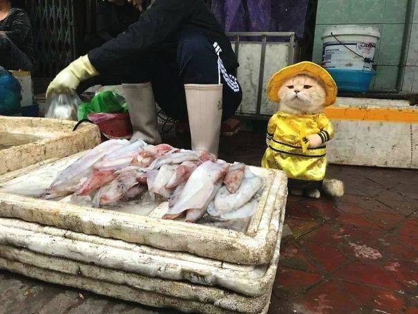 PhotoShop??????????????Ч??