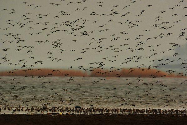 納什談歐文傷勢：離復出還早 如籃網(wǎng)晉級應該能趕上東決