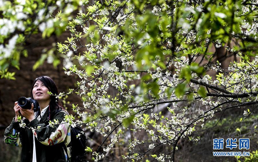 Subtitle Tool切割srt字幕圖文教程