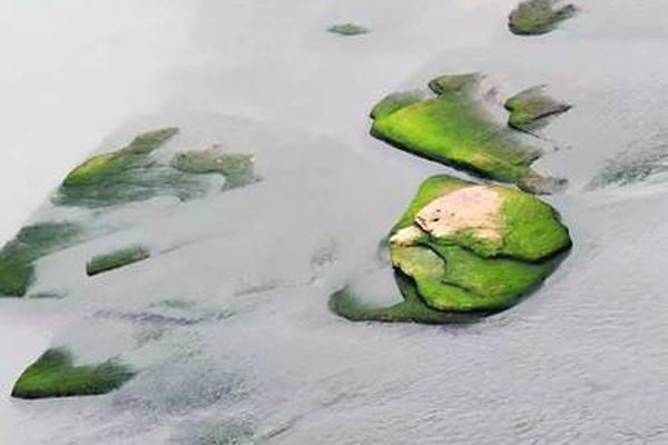 QQ、MSN為競爭者的“寄生蟲”戰(zhàn)略頭痛！