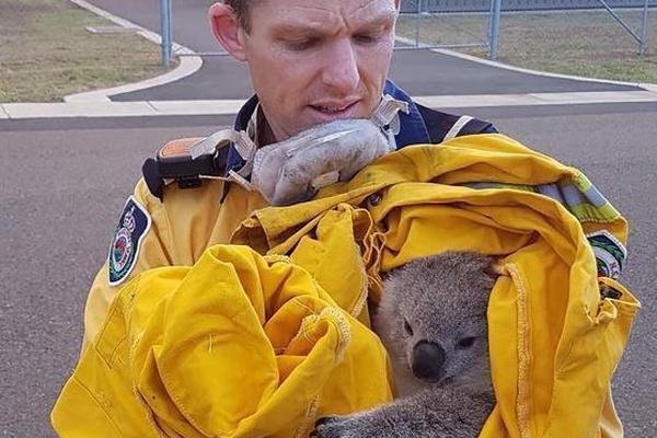 極力了！尼克斯向哈滕供給了4年7250萬 這是他們能給的最大合同