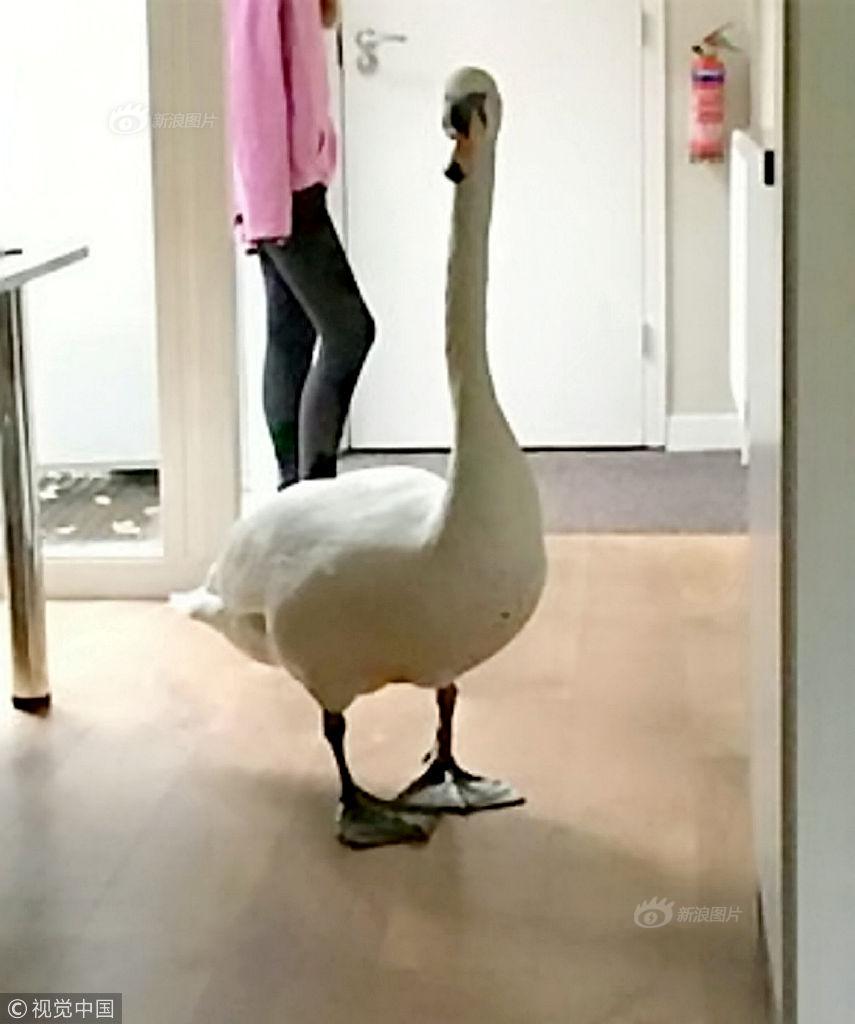 《冒險戰(zhàn)記》新版本強勢上線 轉(zhuǎn)職后嗨翻工會戰(zhàn)