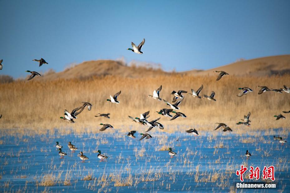 2023年好玩的休閑冒險手游引薦 能夠隨時開一局的單機游戲