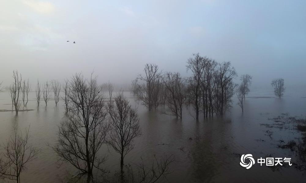 再添傷員！卡魯索因腳踝扭傷提早退出競賽