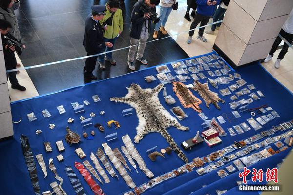 中超長春亞泰vs廣州城前瞻猜測 長春亞泰能否連續(xù)黑馬之路