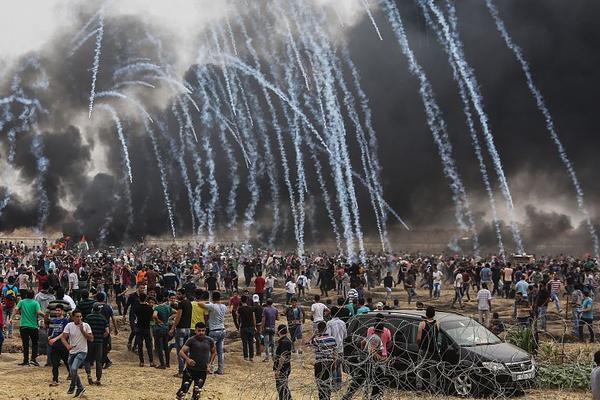 懷斯曼六犯離場 科爾：這次短暫的出場對于他來說是一個積極的回憶