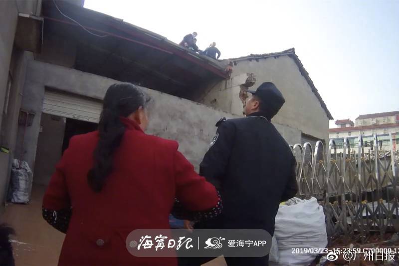 高歌猛進(jìn)！國王取得七連勝成隊史04