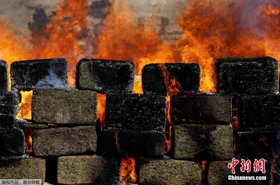 阻止黑雪!《王女異聞錄》超精彩世界觀曝光