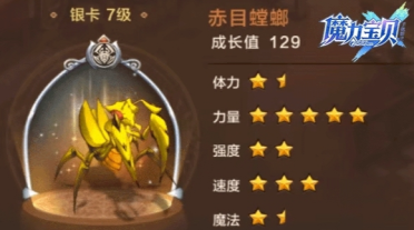 冠軍班底！綠軍官方：球隊正式續(xù)約中鋒尼米亞斯