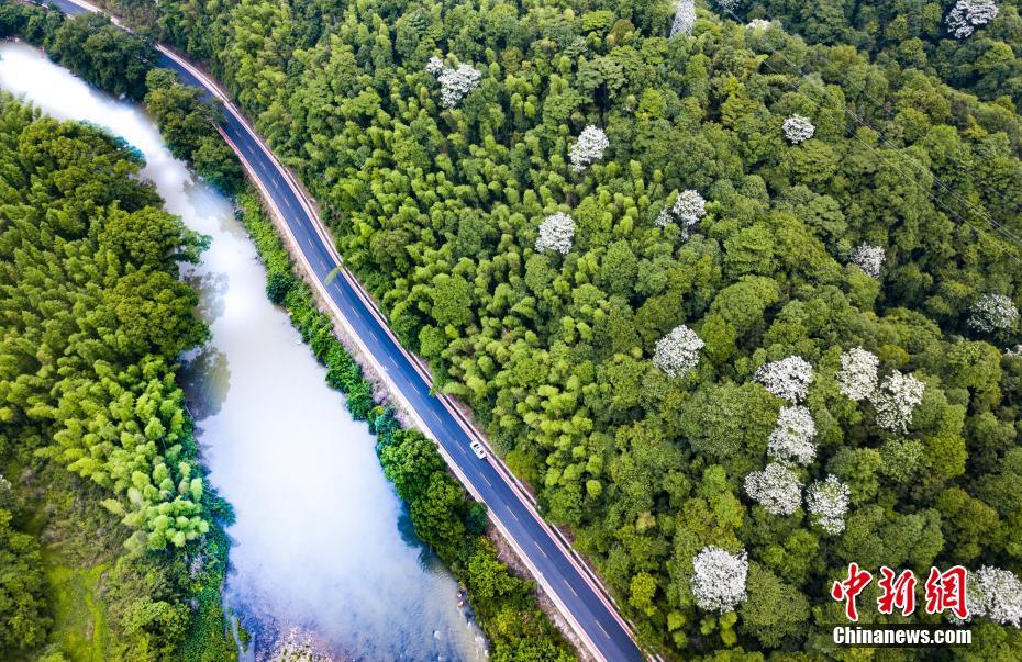 教你讀懂boot.ini