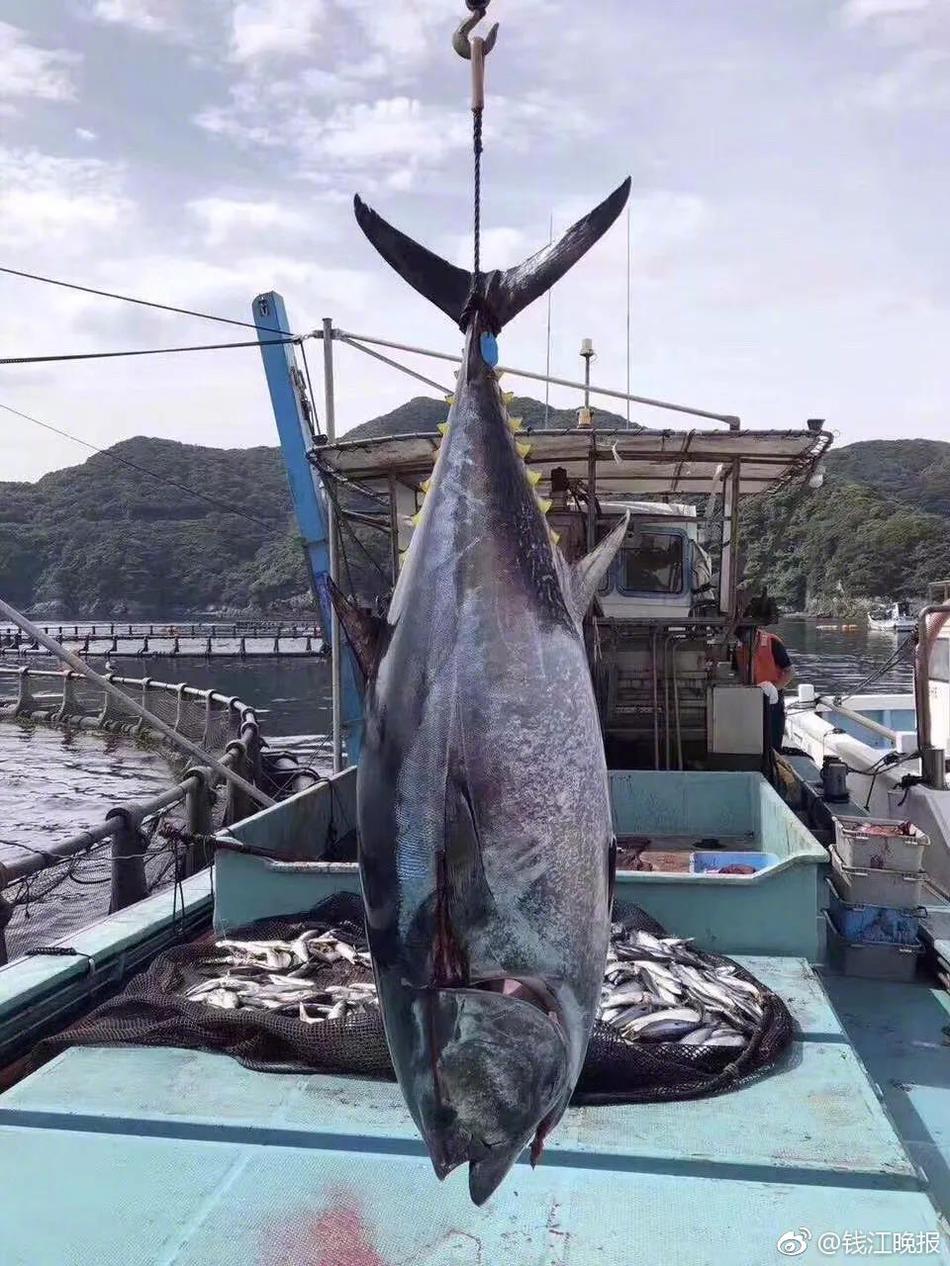 關(guān)于口袋的若干記憶 《貝克夢大冒險》為您解析