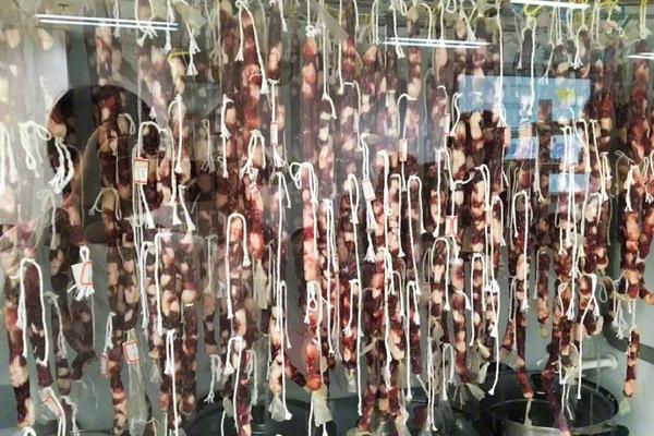 coser變裝、童錦程直播、老外求號……《高能英豪》引爆炎炎夏日！