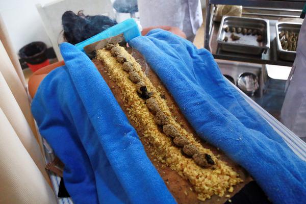 六臺主持人獨家：皇馬不會為約羅或戴維斯付出5000萬