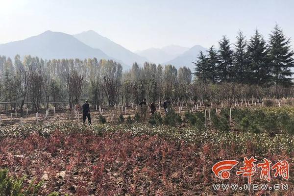 自己建國家交兵的游戲引薦 指揮小兵不斷攻城