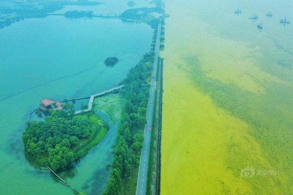 用ShareMail完成局域網(wǎng)玩轉(zhuǎn)郵箱同享