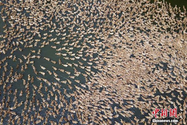 跨服副本也單刷 《全民奇跡MU》狼魂要塞孤膽行
