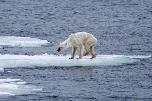 申花晉級足協(xié)杯16強 下一輪對陣長春亞泰