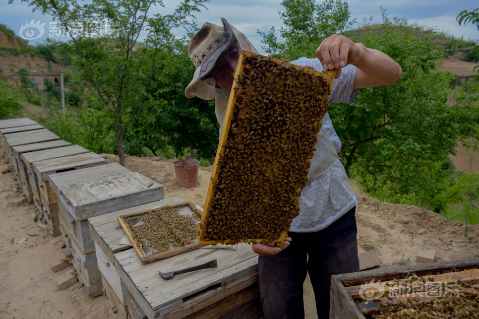 體會多媒體精彩 解霸V8功用試用手記