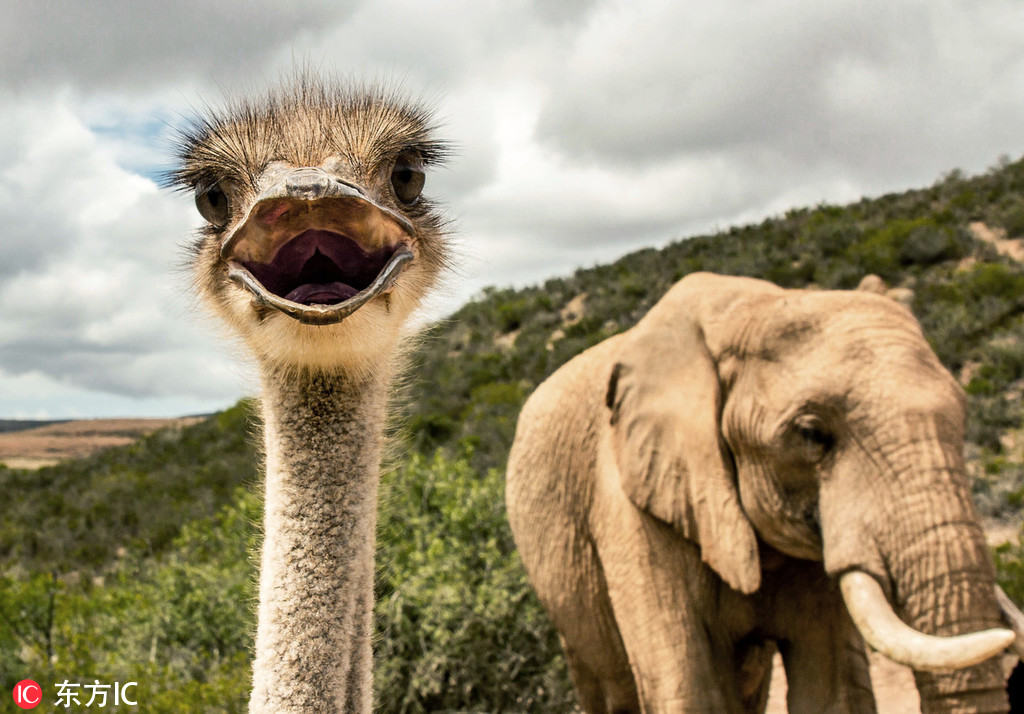 某NBA球隊(duì)助教：我會把球交給哈登 讓歐文打無球