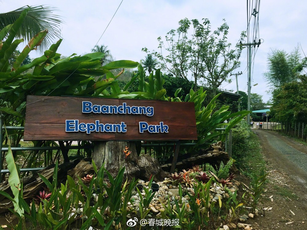 3秒鐘教你qq校友圖標怎樣點亮和怎樣滅