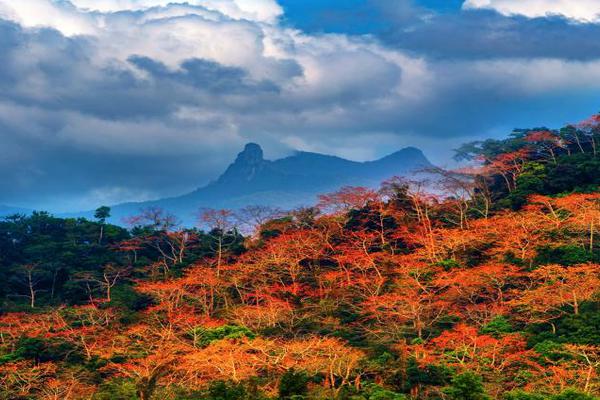 蒙蒂：布克是為大場(chǎng)面而生的球員