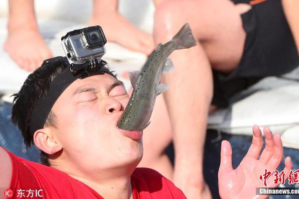 奇遇武俠到底是什么?《臥虎藏龍貳》玩法窺探