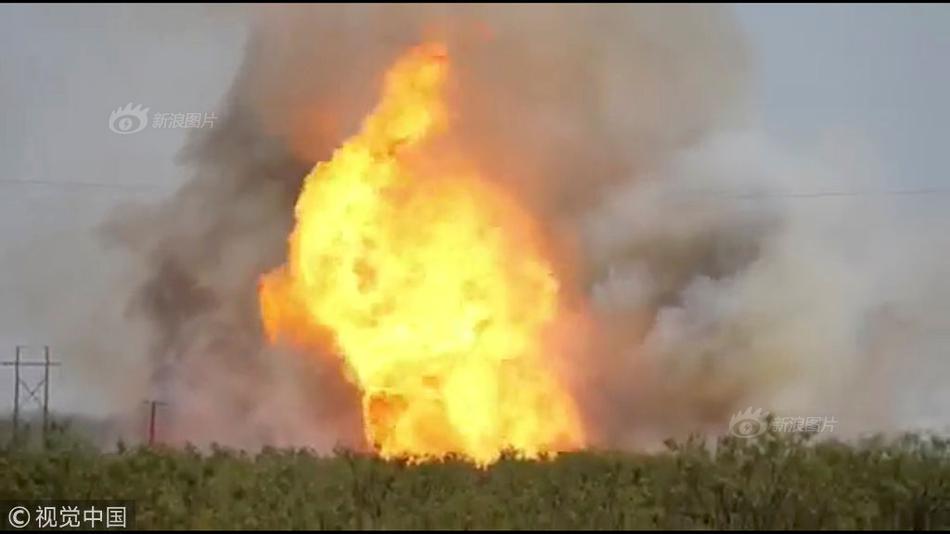 ???????2011?????????????