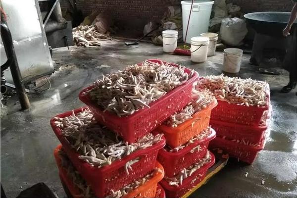 Shams：進一步查看成果表明 字母哥手腕大概率不妨