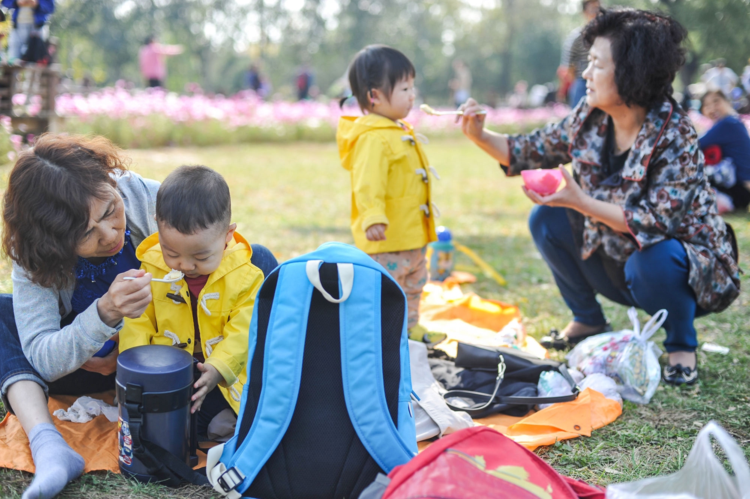 76人季后賽首輪時球隊主場座位開放度將提升至50%