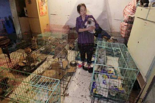 喬·文圖特預見到他們的歌迷會有一場精彩的派對