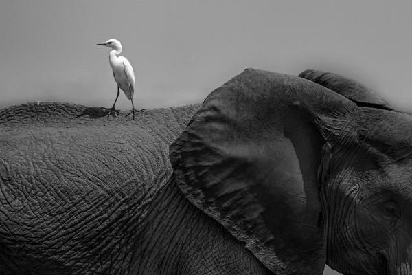 6.8開測!《正義聯(lián)盟：超級英雄》全民變身倒計時