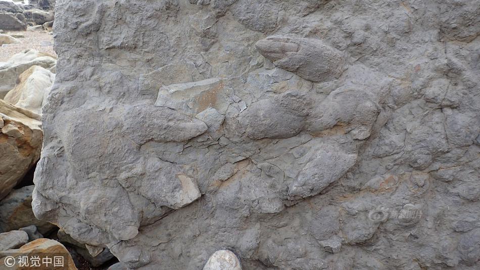 居家必備！《推理學院》家鄉(xiāng)體系玩家手冊