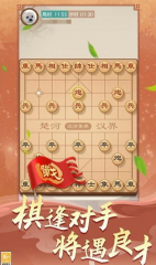 獨行俠惜敗灰熊，東契奇在比賽中背部受傷