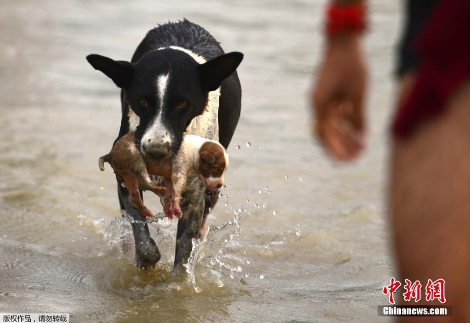 傳團(tuán)購開山祖師Groupon將收買團(tuán)寶網(wǎng)