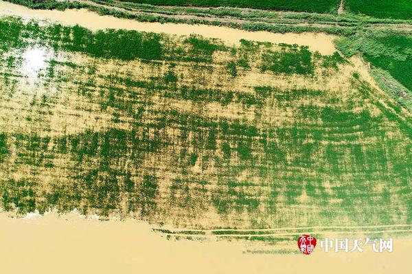 太陽被我射熄火了 《美杜莎》獵日王后羿首曝