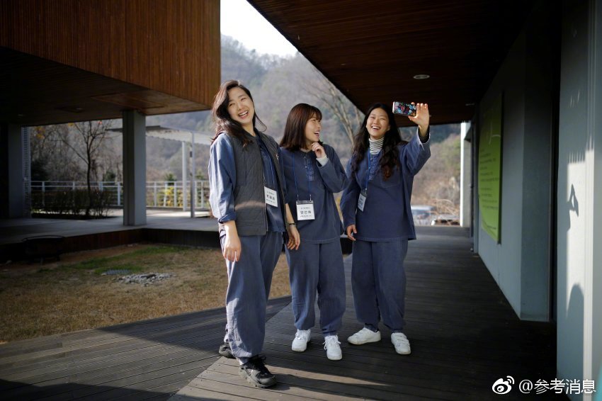 超瑞潔純植物寵物除臭劑