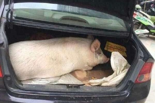 微軟推出首個Server 2003補丁 修正受損代碼