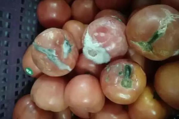 iPhone6替換電池辦法 iPhone6換電池圖文教程