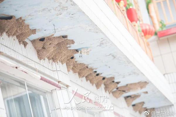 《鋪開那三國3》魔窟敞開 打BOSS奪秘寶